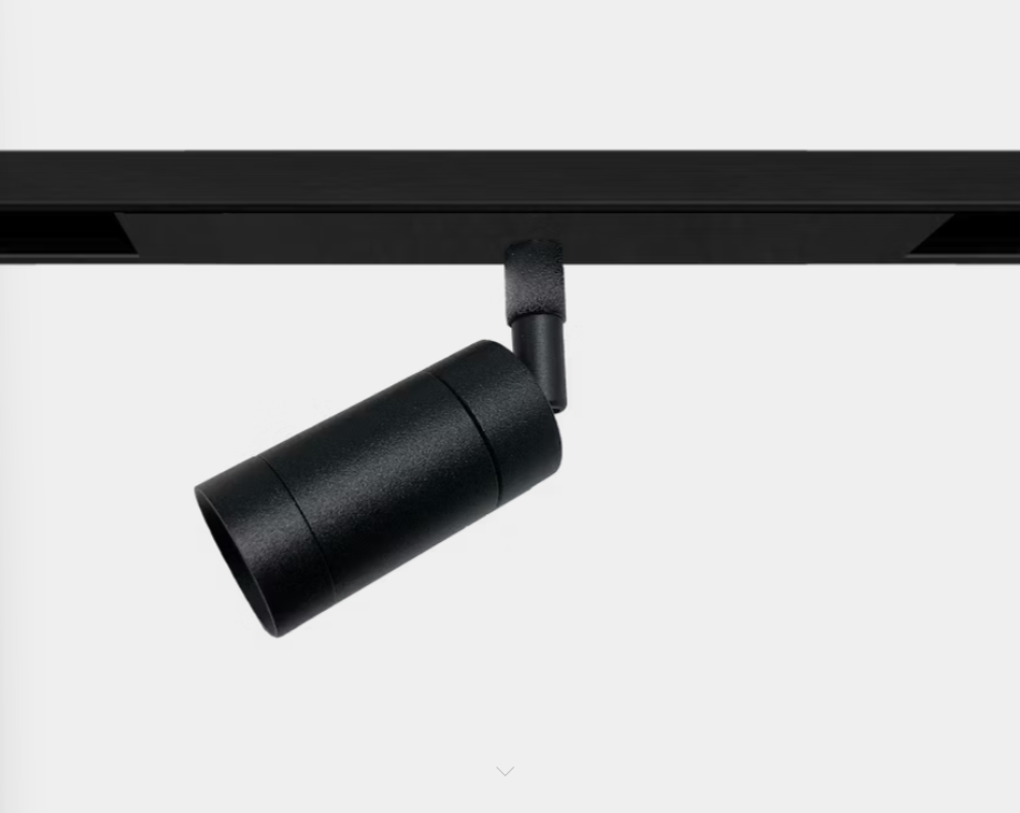 Zoom Spotlight 48V